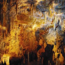 AV3C Grottes de Foissac┬®S-Dufayet_grottes de Foissac GT11 pied droite