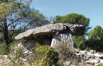 Une belle balade à la découverte des dolmens, ces sépultures ancestrales.