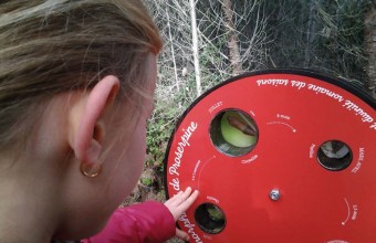 Des boîtes à surprises sur le chemin.