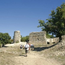 Le camp de César. Cette ancienne ville antique s’étend sur dix-huit hectares.