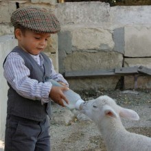 Au Vieux Mas, les enfants peuvent participer à la tétée des agneaux.
