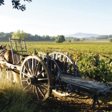 Le travail de la terre et de la vigne, une tradition solidement ancrée dans la culture méditerranéenne.