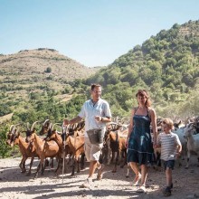 Goûtez à l’authenticité d’une ferme cévenole, avec son troupeau de chèvres et sa fabrique de pélardons.