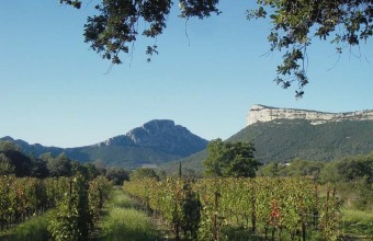 Dans l’arrière-pays montpelliérain, le Pic Saint-Loup s’entoure d’un vignoble de renommée internationale.