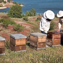 La Miellerie du Salagou nous éclaire sur les bienfaits des produits de la ruche.